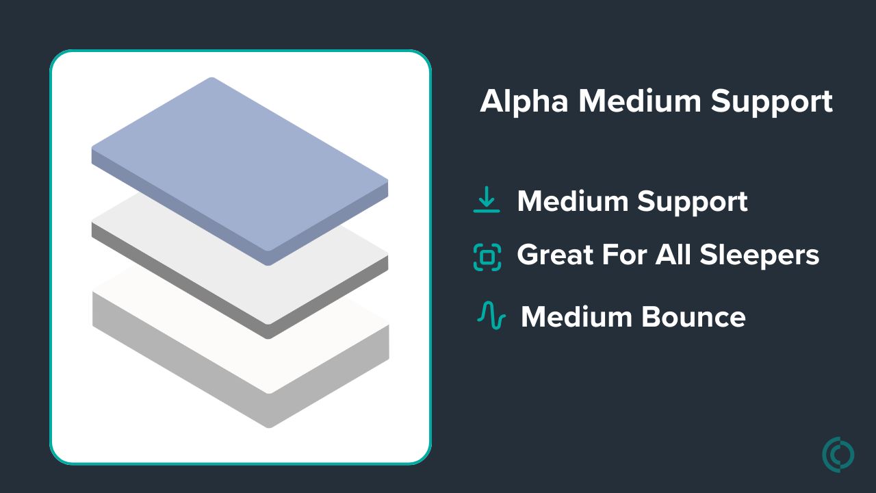 Graphic showing mattress description